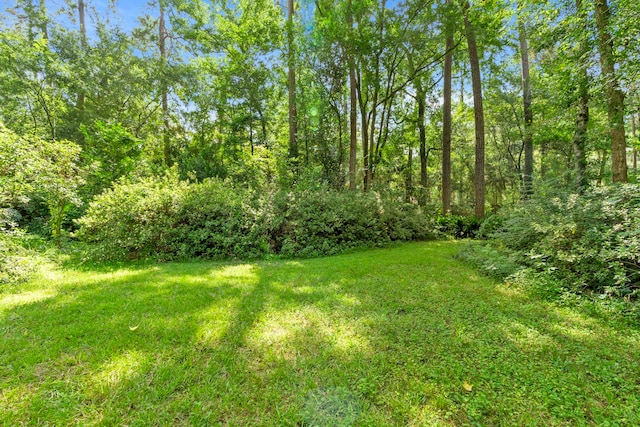 2410 Shady Run, Houston, TX 77339 - photo 43