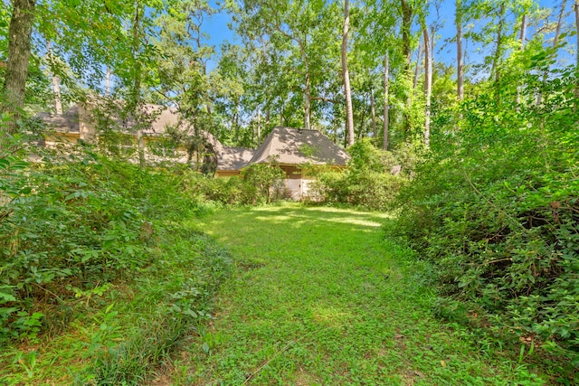 2410 Shady Run, Houston, TX 77339 - photo 44