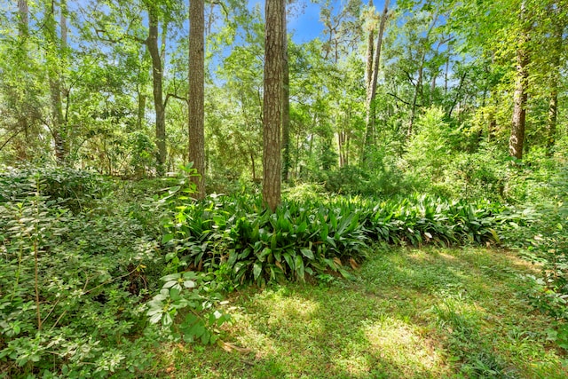 2410 Shady Run, Houston, TX 77339 - photo 45