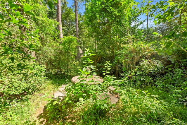 2410 Shady Run, Houston, TX 77339 - photo 46