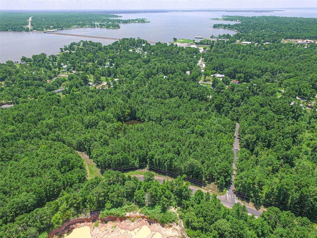 737 Creeklake Dr, Onalaska, TX 77360 - photo 10