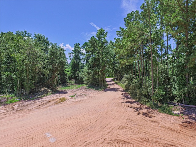 737 Creeklake Dr, Onalaska, TX 77360 - photo 3