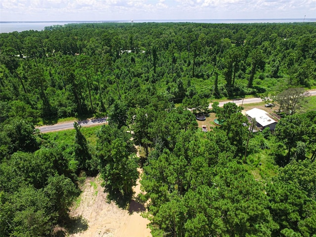 737 Creeklake Dr, Onalaska, TX 77360 - photo 7