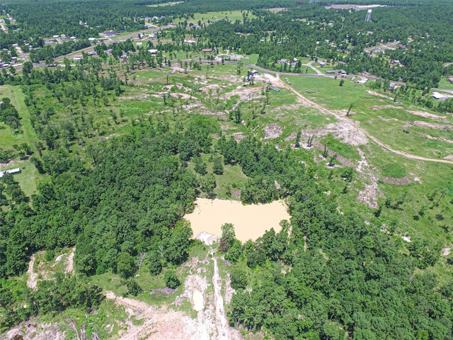 737 Creeklake Dr, Onalaska, TX 77360 - photo 13