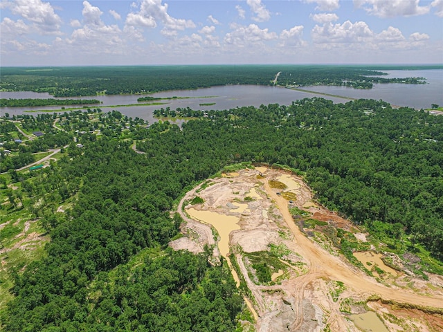 737 Creeklake Dr, Onalaska, TX 77360 - photo 1