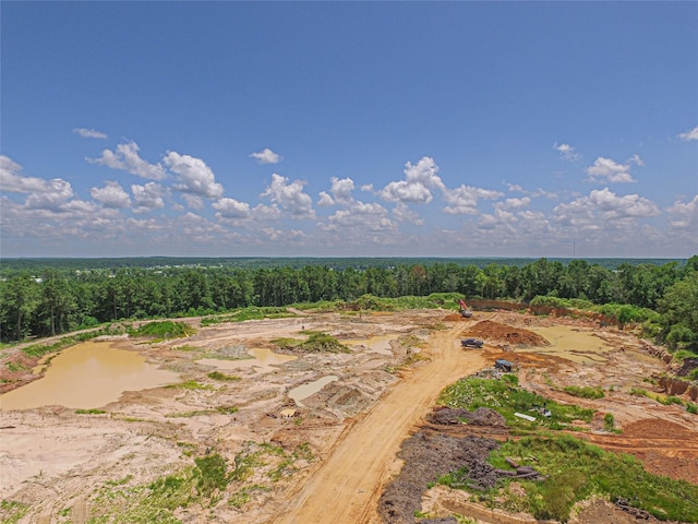 737 Creeklake Dr, Onalaska, TX 77360 - photo 15