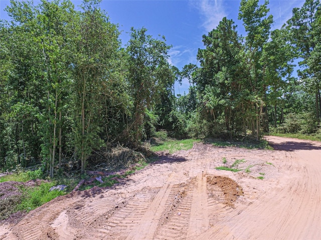 737 Creeklake Dr, Onalaska, TX 77360 - photo 17