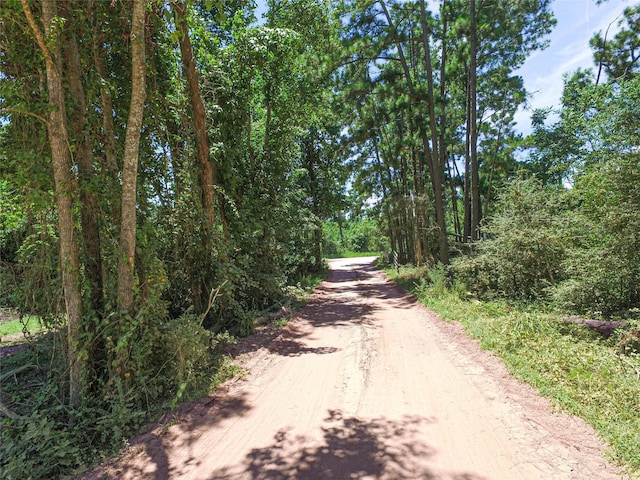 737 Creeklake Dr, Onalaska, TX 77360 - photo 2