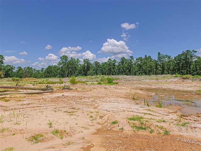 737 Creeklake Dr, Onalaska, TX 77360 - photo 18