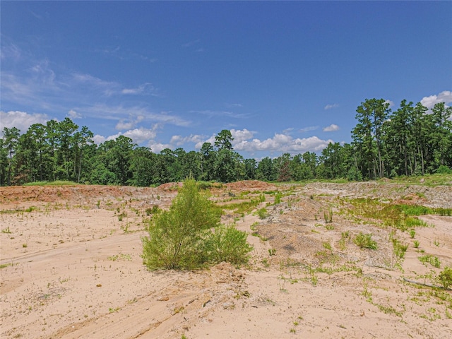 737 Creeklake Dr, Onalaska, TX 77360 - photo 19