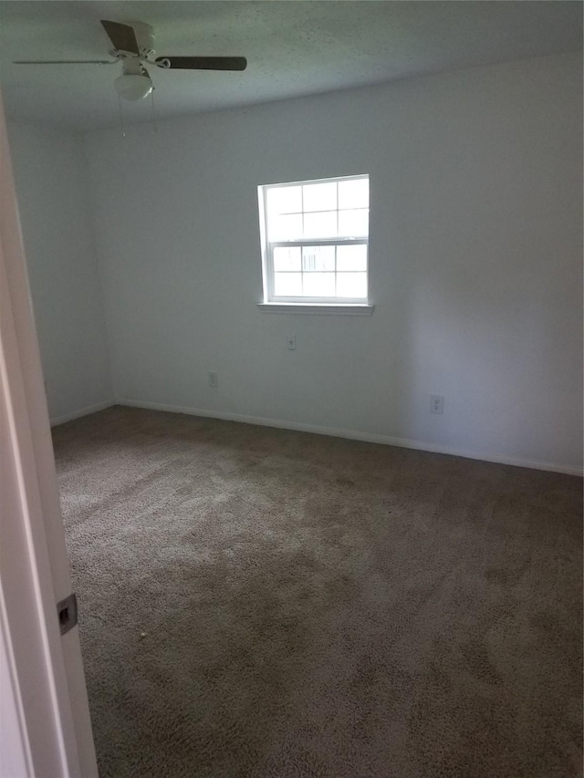 5209 Tarawa Rd, Houston, TX 77033 - photo 11