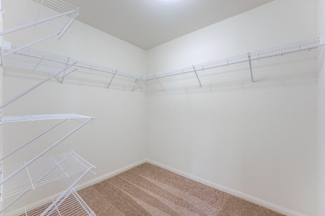 22303 Bauer Garden Dr, Hockley, TX 77447 - photo 24
