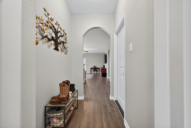 542 Oporto Path, Crosby, TX 77532 - photo 9