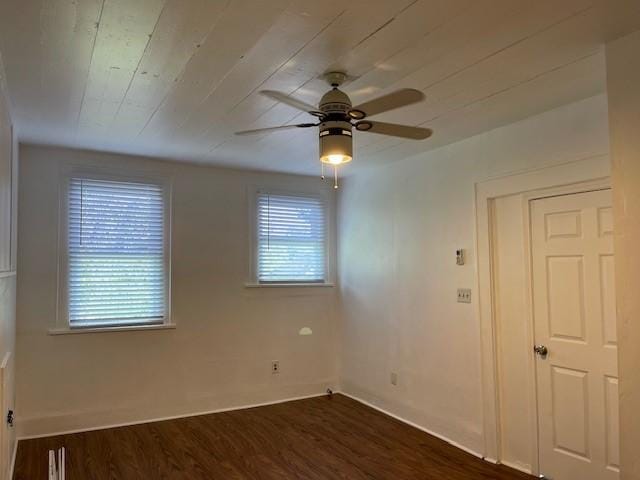 7338 Fauna St, Houston, TX 77061 - photo 12