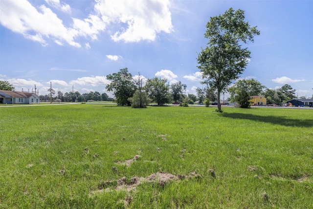 159 Colorado St, Hempstead, TX 77445 - photo 3