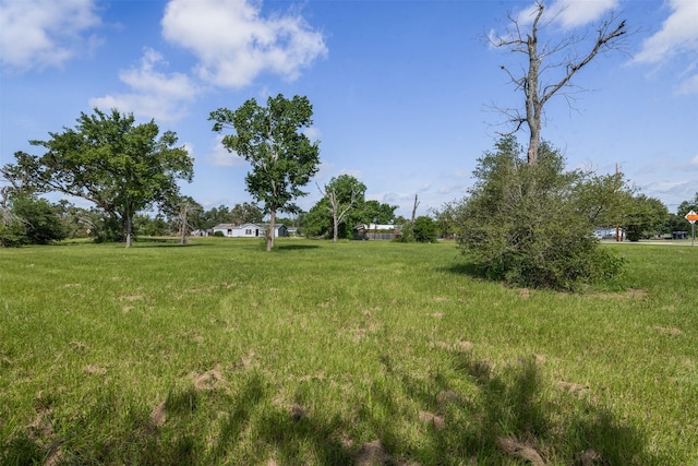 159 Colorado St, Hempstead, TX 77445 - photo 7