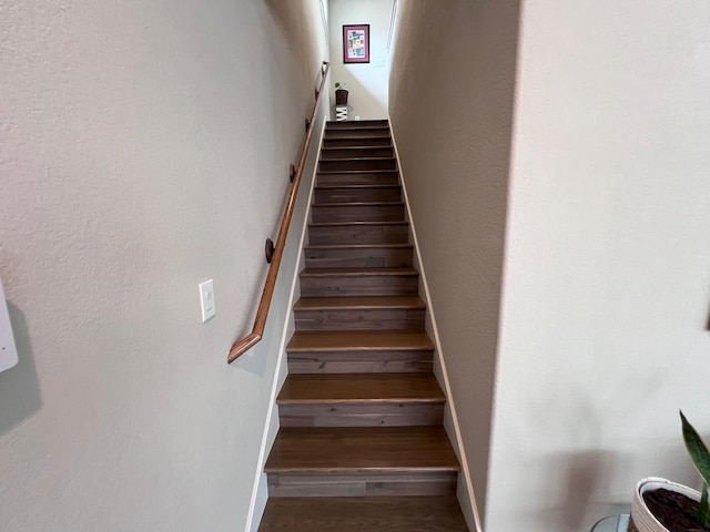 23610 Villa Lisa Dr, Richmond, TX 77406 - photo 34
