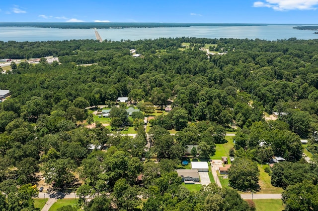 200 Commanche Dr, Onalaska, TX 77360 - photo 45