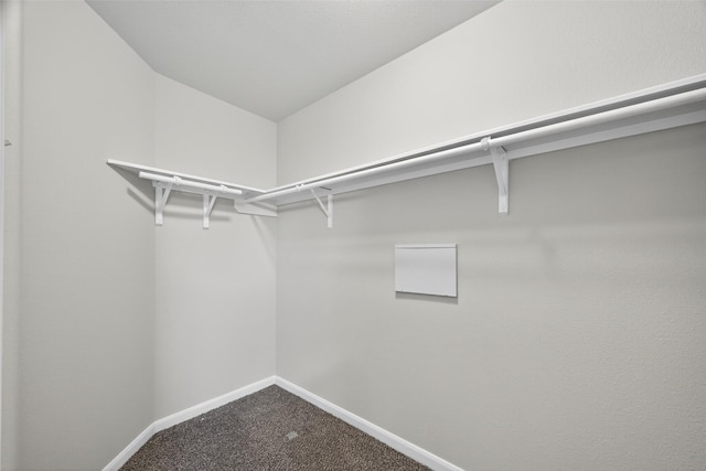 2631 Skyview Point Dr, Houston, TX 77047 - photo 24