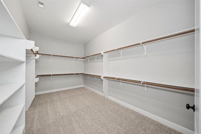 115 Spanish Bay Pl, Montgomery, TX 77316 - photo 22