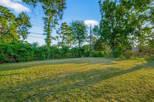 6038 Guadalupe St, Houston, TX 77016 - photo 29