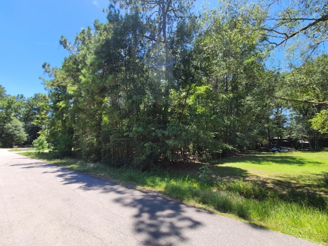 0 Hickory Dr, Montgomery, TX 77356 - photo 4