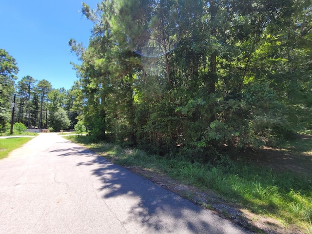 0 Hickory Dr, Montgomery, TX 77356 - photo 1