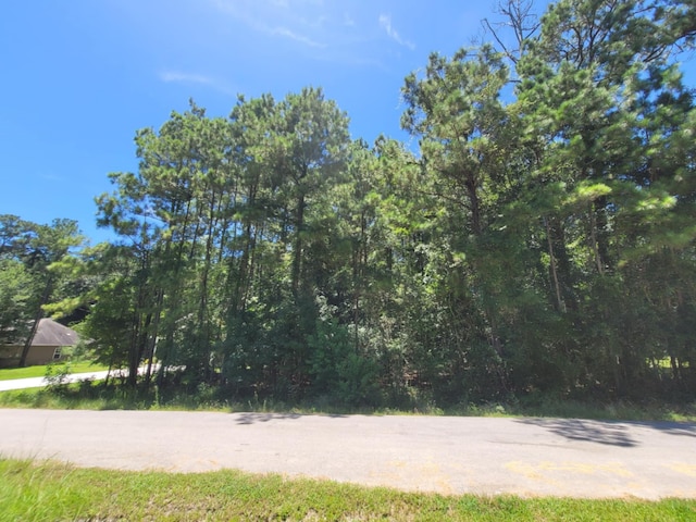 0 Hickory Dr, Montgomery, TX 77356 - photo 2