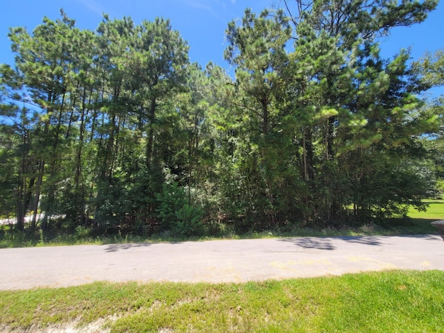 0 Hickory Dr, Montgomery, TX 77356 - photo 3