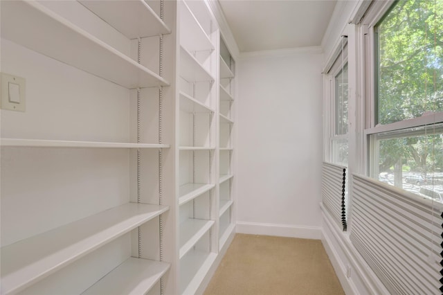 1723 Milford St, Houston, TX 77098 - photo 19