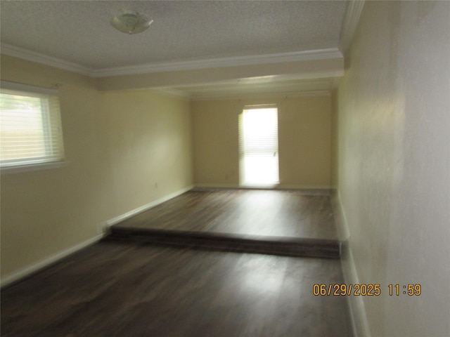 3919 Black Crickett Ct, Humble, TX 77396 - photo 4