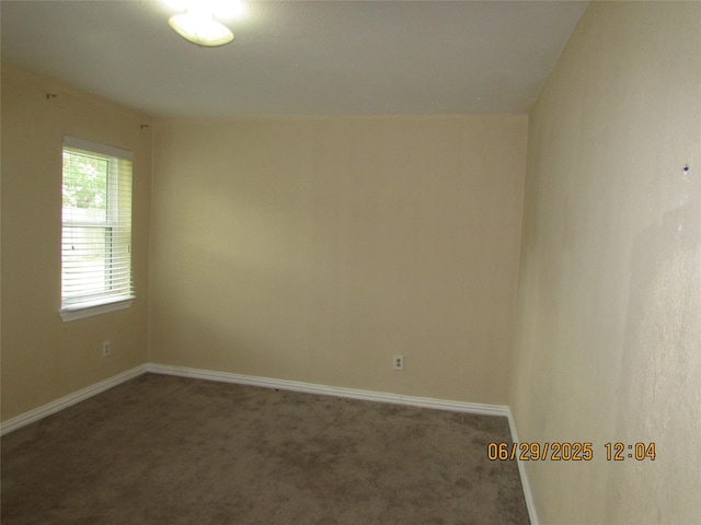 3919 Black Crickett Ct, Humble, TX 77396 - photo 5
