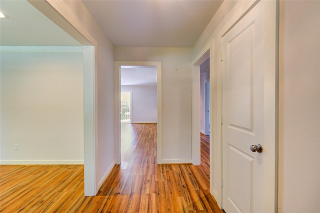 5830 Cartagena St, Houston, TX 77035 - photo 9