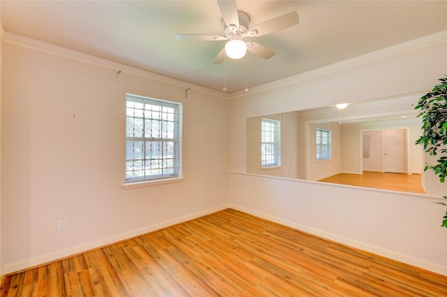 5830 Cartagena St, Houston, TX 77035 - photo 11