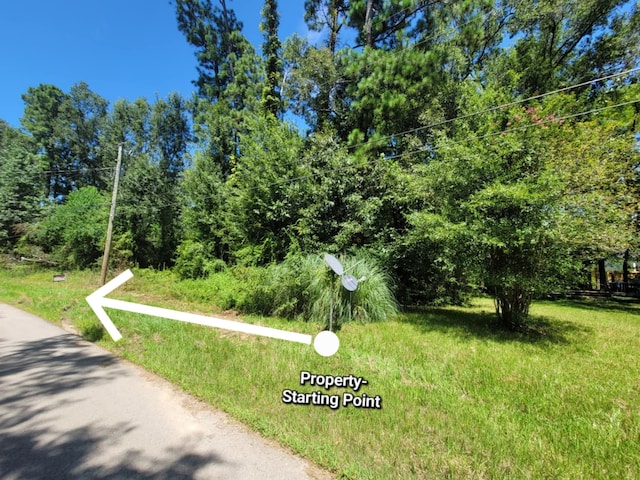 0 Fannin Rd, Willis, TX 77378 - photo 1