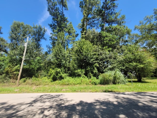 0 Fannin Rd, Willis, TX 77378 - photo 2