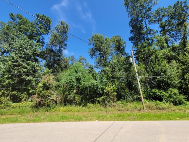 0 Fannin Rd, Willis, TX 77378 - photo 3