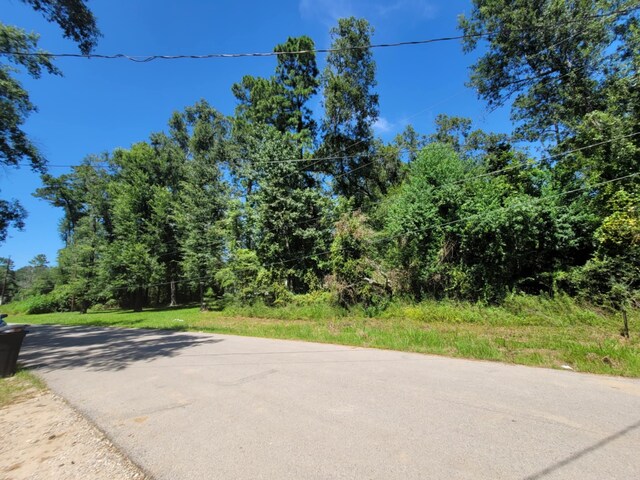 0 Fannin Rd, Willis, TX 77378 - photo 5