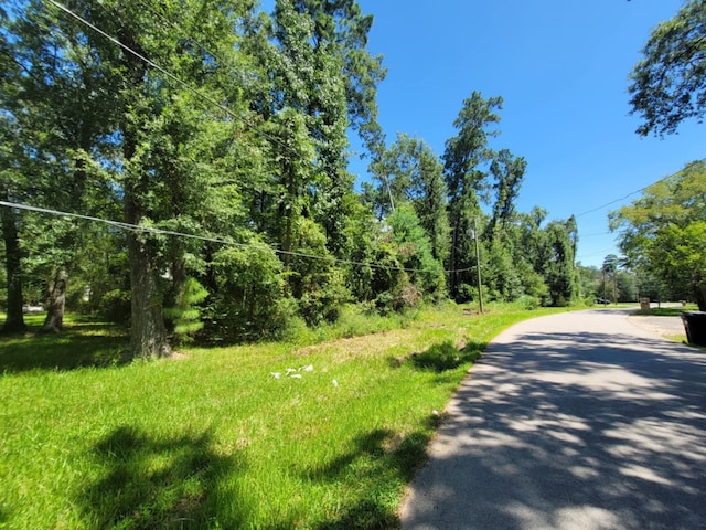 0 Fannin Rd, Willis, TX 77378 - photo 6