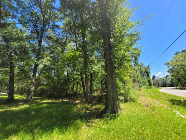 0 Fannin Rd, Willis, TX 77378 - photo 7