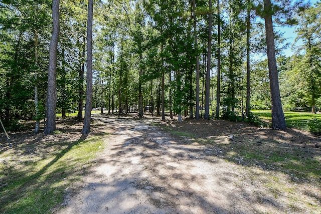 180 Maurine Ln, Cleveland, TX 77328 - photo 32