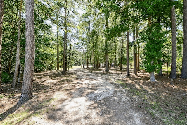 180 Maurine Ln, Cleveland, TX 77328 - photo 30