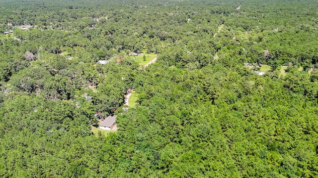 180 Maurine Ln, Cleveland, TX 77328 - photo 33