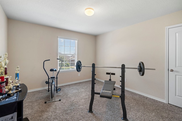 18110 Tenasserim Pine Trce, Richmond, TX 77407 - photo 22