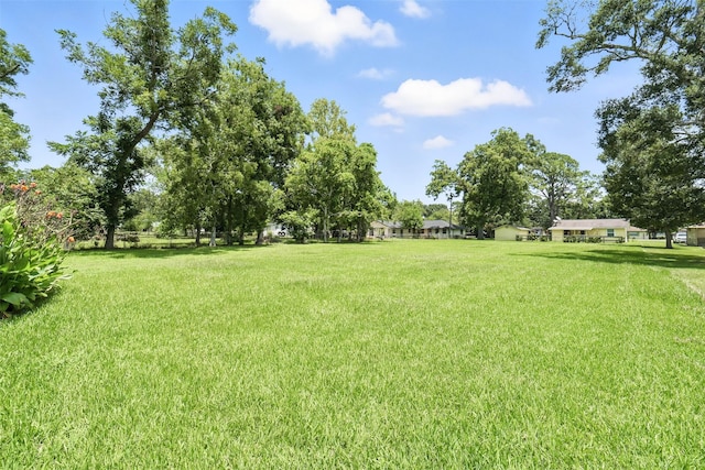 414 Bell St, West Columbia, TX 77486 - photo 31