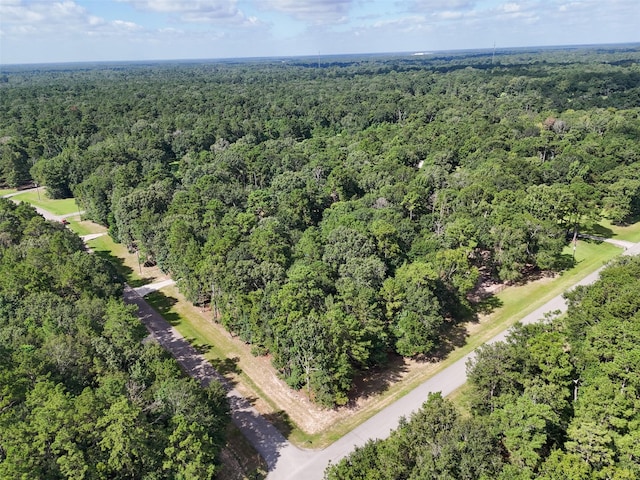 17201 Horseshoe Way, New Caney, TX 77357 - photo 47