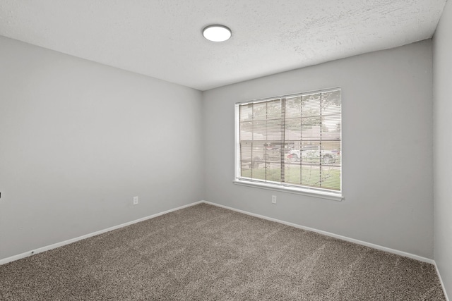 7215 Trogon Ln, Houston, TX 77083 - photo 2