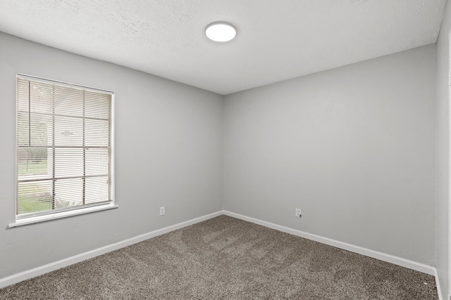 7215 Trogon Ln, Houston, TX 77083 - photo 7