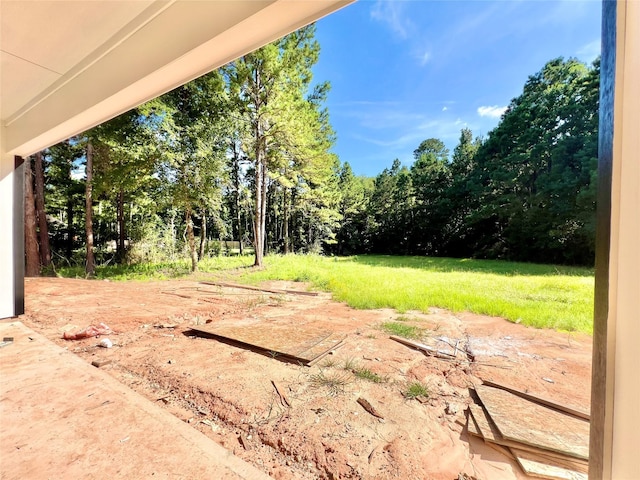 11424 Dans Pl, Montgomery, TX 77316 - photo 23
