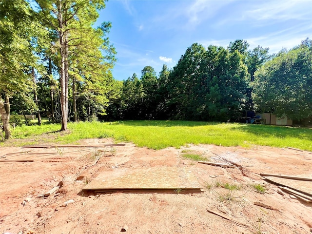 11424 Dans Pl, Montgomery, TX 77316 - photo 24